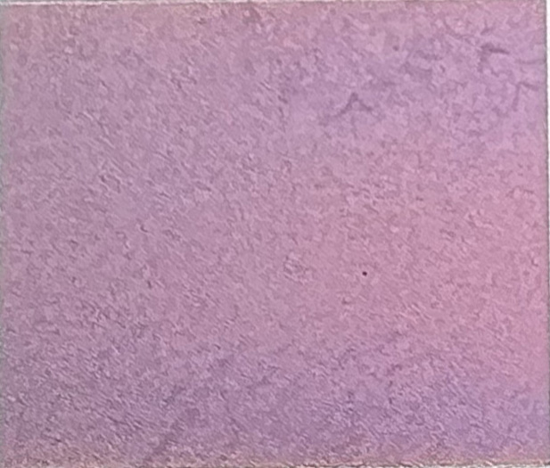 Example image · Purple on Stainless 304 · Laser: ComMarker B6 60W Mopa · Lens: 150mm · Entry #20 · Image 1 of 1