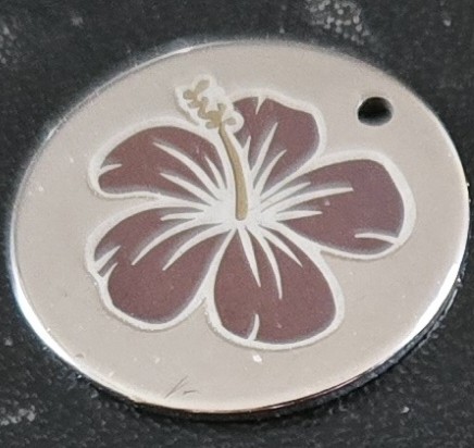 Example image · Bordeaux on Stainless 304 · Laser: ComMarker B6 60W Mopa · Lens: 150mm · Entry #6 · Image 1 of 1