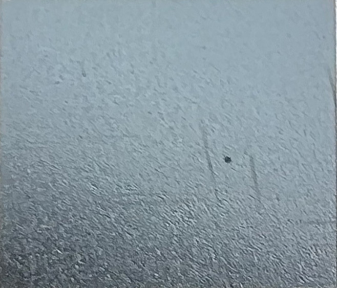 Example image · Blue on Stainless 304 · Laser: ComMarker B6 60W Mopa · Lens: 150mm · Entry #8 · Image 1 of 2